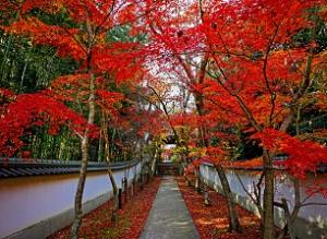 慈眼寺