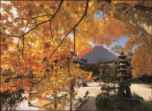 法光寺