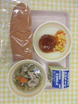 29日煮込みハンバーグ