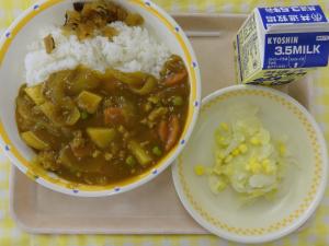 8日ポークカレー