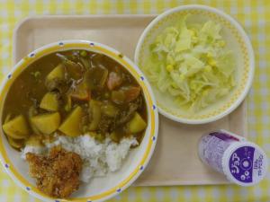 7日チキンカレー