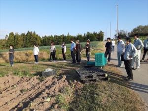 圃場見学の模様