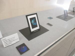 展示のようす1