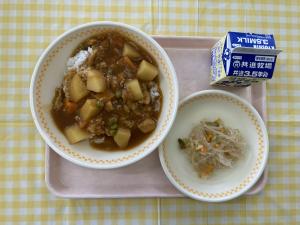 23日チキンカレー