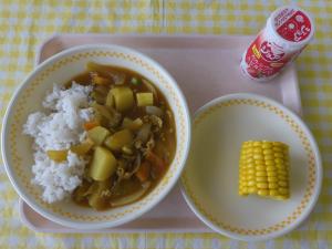 13日ポークカレー
