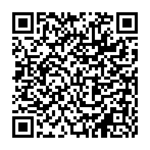 申込フォームのQRコード