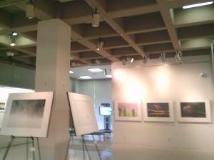展示のようす