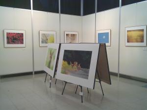 展示のようす2
