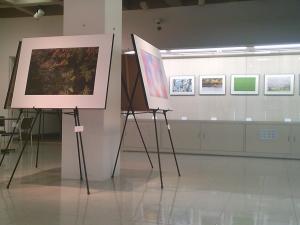 展示のようす５