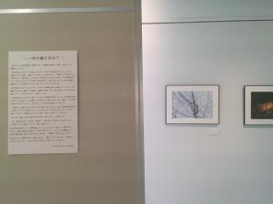 玉田展１