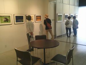 玉田展７