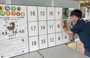 あじさい設置