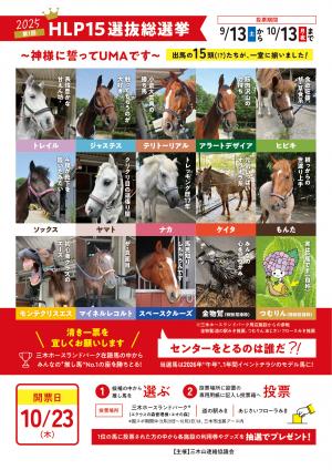 チラシ裏