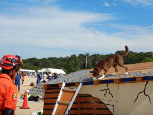 救出救助避難誘導