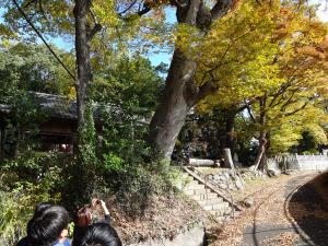 トライやるウィーク6