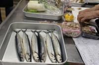 サンマ六匹