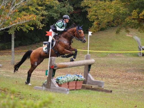 昨年の全日本総合馬術大会の様子