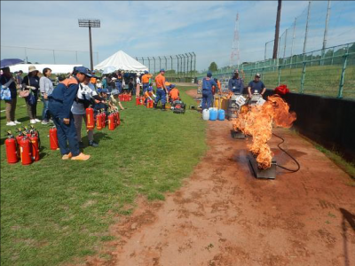 フェスティバル