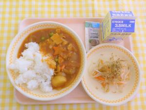 9日チキンカレー