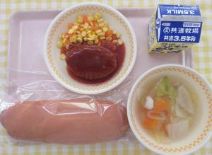 19日煮込みハンバーグ