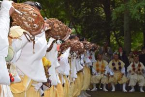 伽耶院プログラムサムネイル