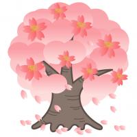 桜