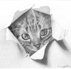 野口先生の作品