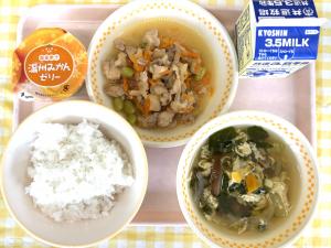 13日鶏肉のさっぱり煮