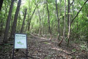 段状の平坦地群