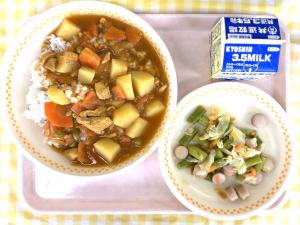 29日チキンカレー