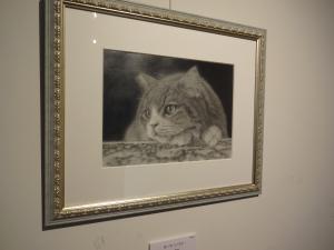 野口先生猫