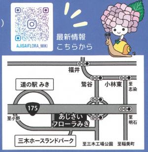 アジサイフローラ