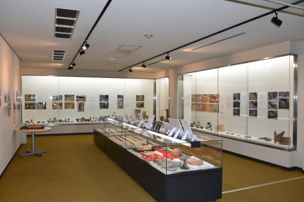 企画展「三木の古墳」写真