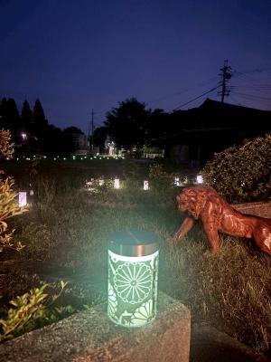 夜