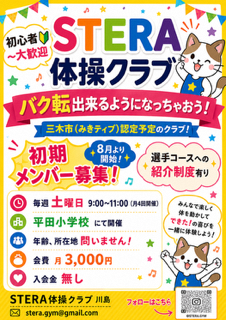 STERAチラシ