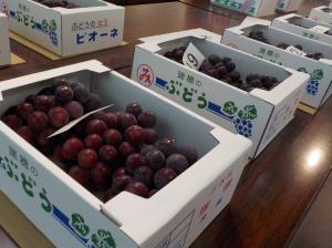 ぶどう