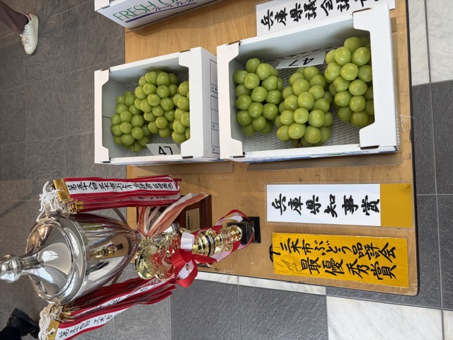 特賞入賞ぶどう写真