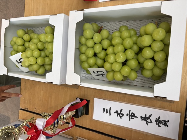 特賞入賞ぶどう写真