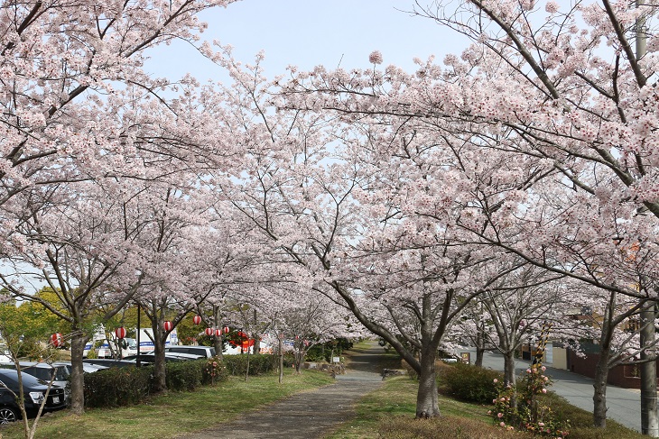 協同学苑（三木市志染町青山）　平成28年4月6日撮影の画像