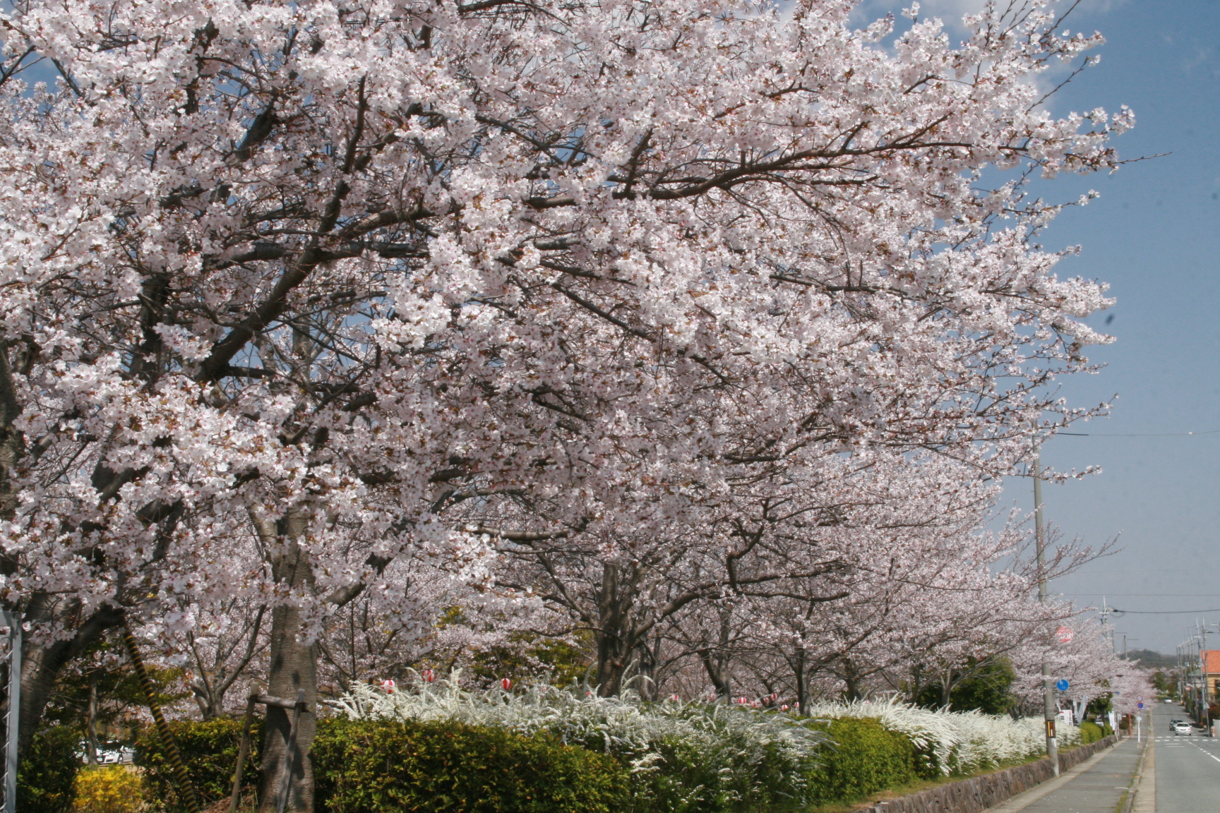 協同学苑（三木市志染町青山）　平成23年4月12日撮影の画像