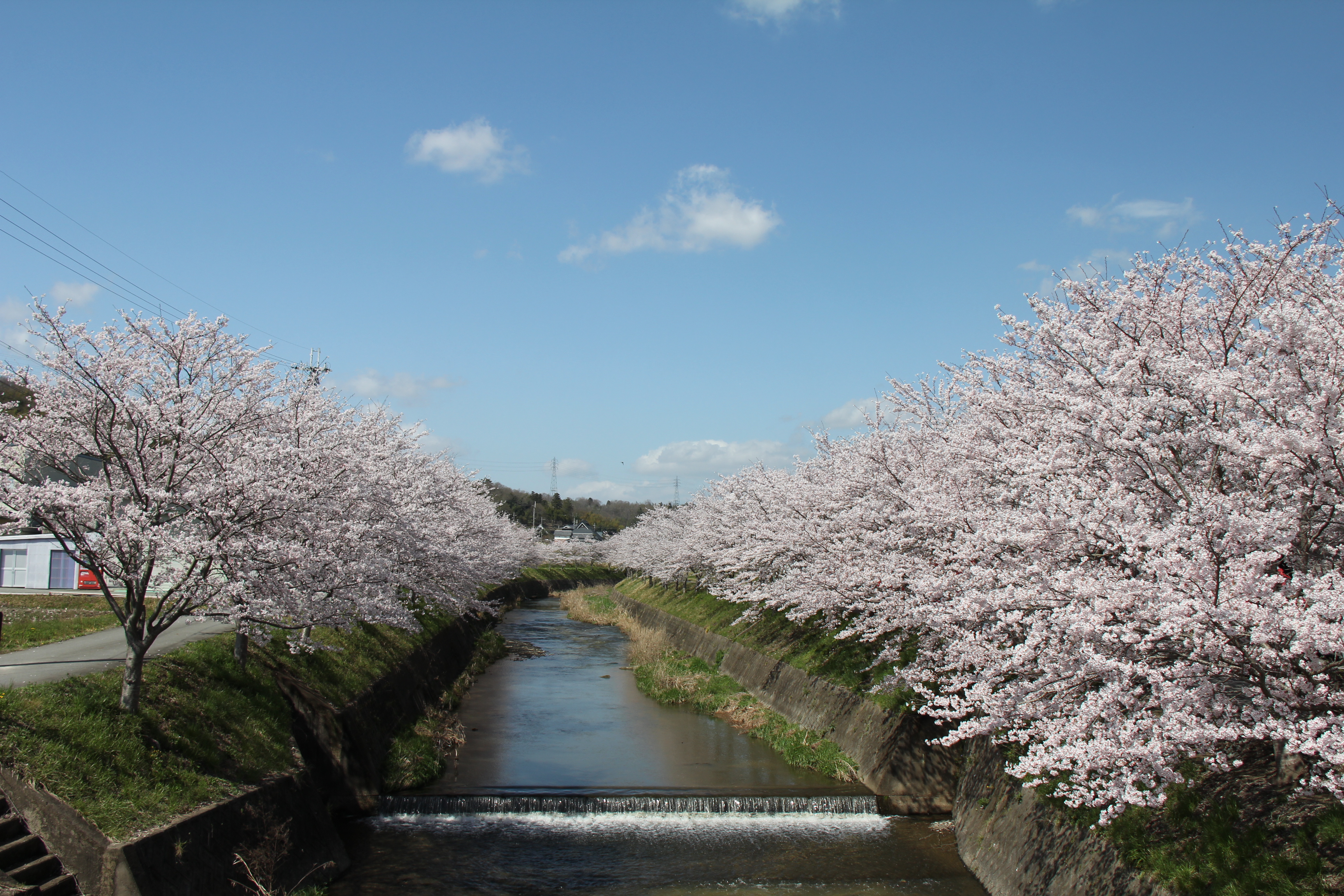 北谷川　平成24年4月14日撮影の画像