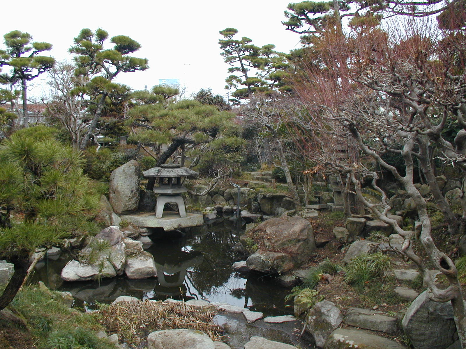 主庭全景の画像