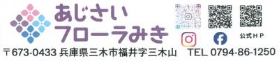アジサイフローラ小