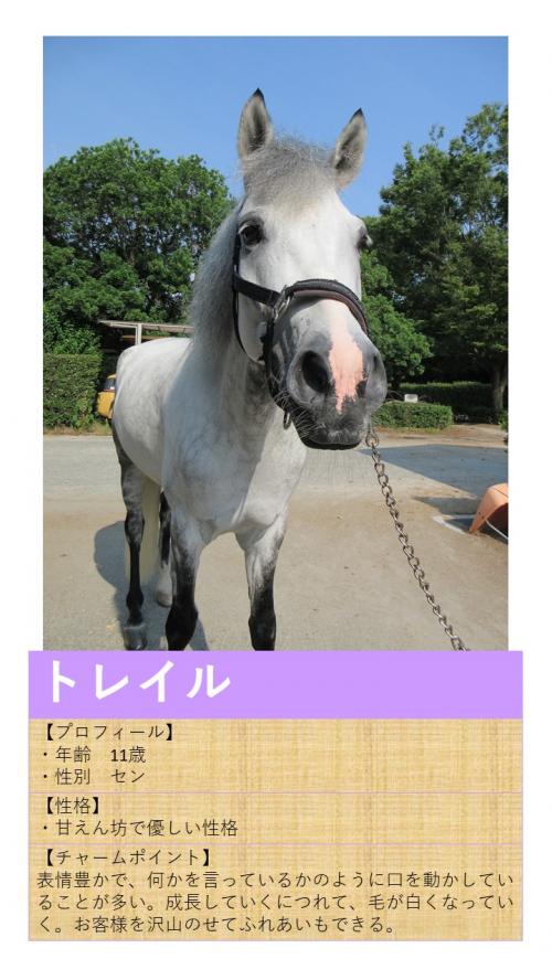 01トレイル