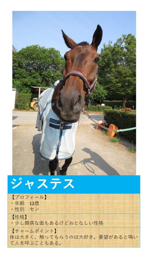 02ジャステス