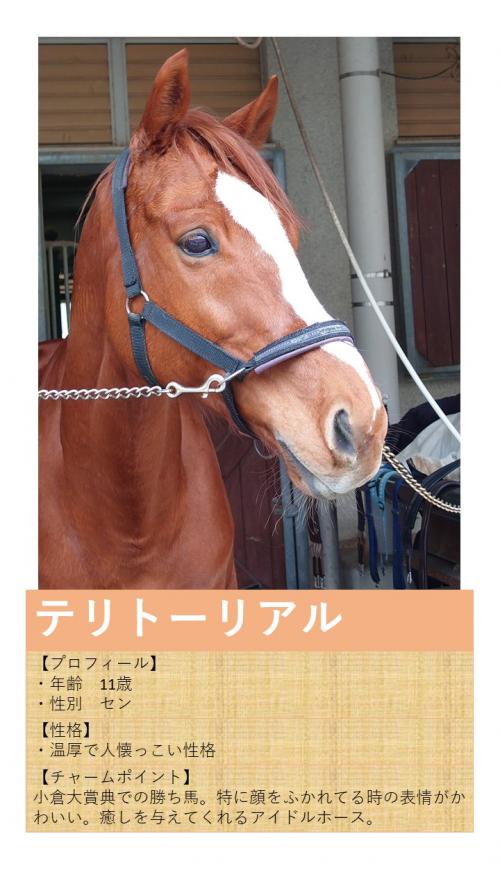 03テリトーリアル