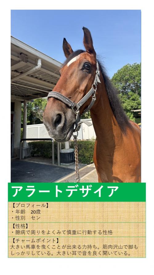 04アラートデザイア