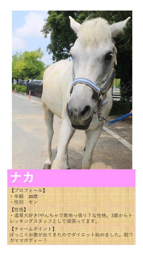 08ナカ