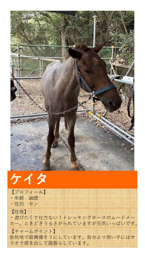 09ケイタ