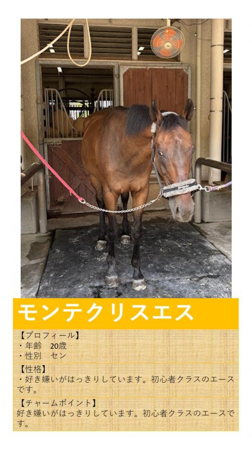 11モンテクリスエス